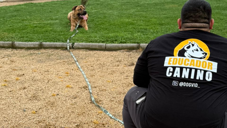 EDUCADOR CANINO DAVID URBINA interior