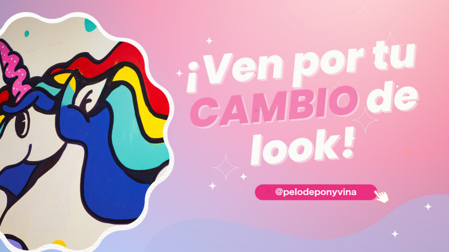 Pelo de Pony Viña del Mar interior